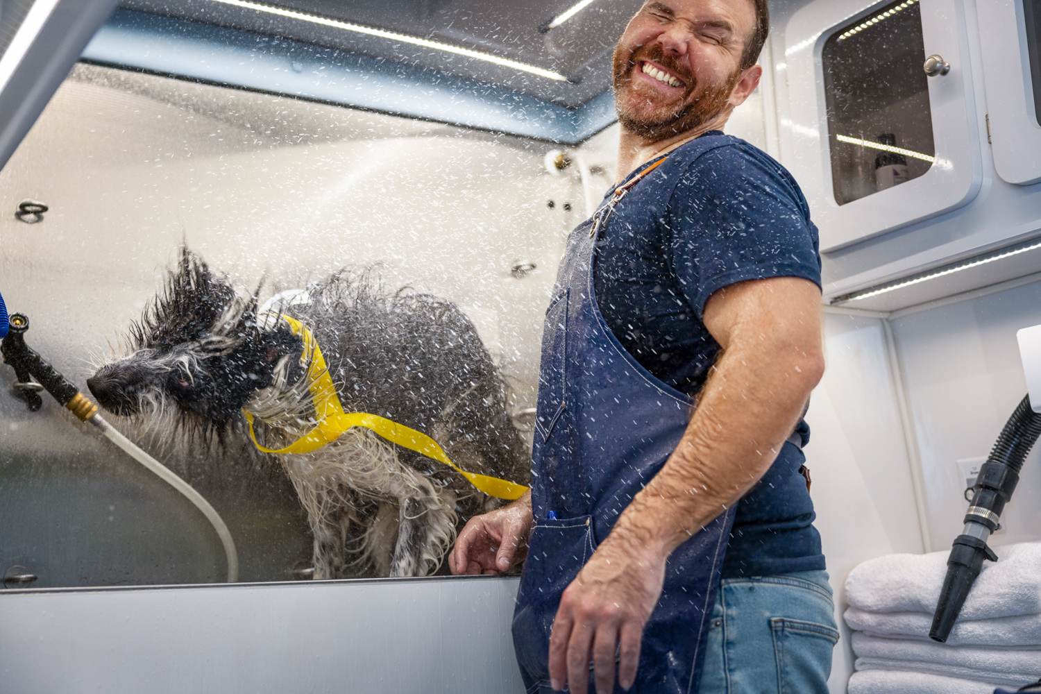 MB_VANS_Day03_Shot02_Dog_Interior_Lifestyle_0933_R_300_V2